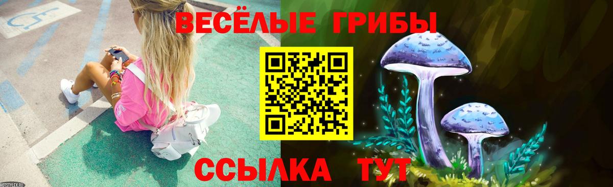 Грозный  Псилоцибиновые грибы GOLDEN TEACHER  Вход с VPN  Псилоцибиновые грибы Psilocybine cubensis 